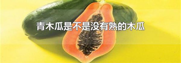 青木瓜是不是没有熟的木瓜