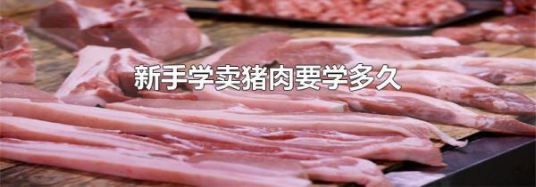 新手学卖猪肉要学多久