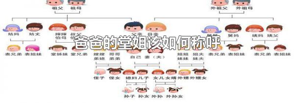 爸爸的堂姐该如何称呼
