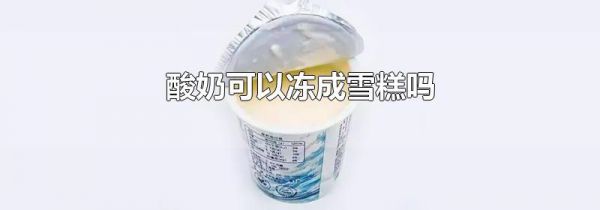 酸奶可以冻成雪糕吗
