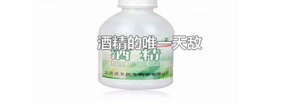 酒精的唯一天敌