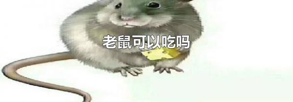 老鼠可以吃吗