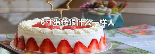 6寸蛋糕跟什么一样大