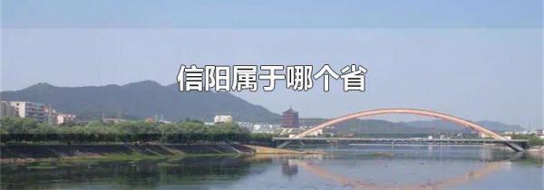 信阳属于哪个省
