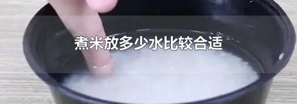 煮米放多少水比较合适