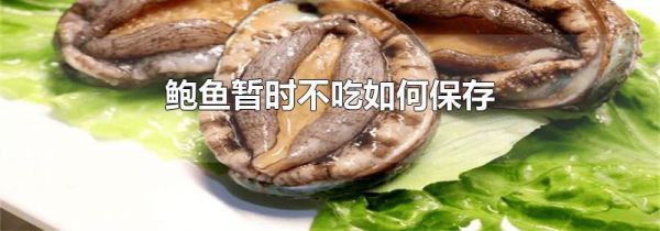 鲍鱼暂时不吃如何保存