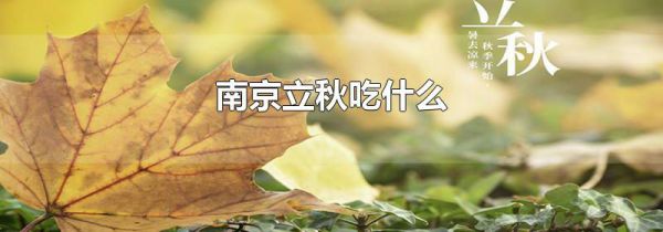 南京立秋吃什么