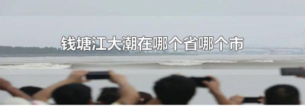 钱塘江大潮在哪个省哪个市
