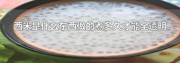 西米是什么东西做的煮多久才能全透明
