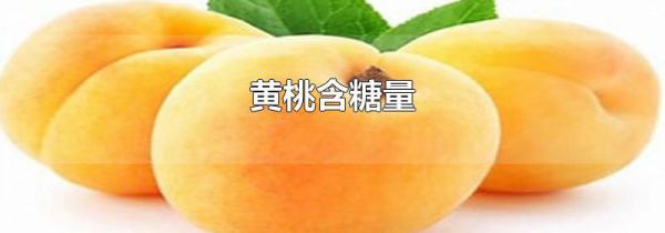 黄桃含糖量