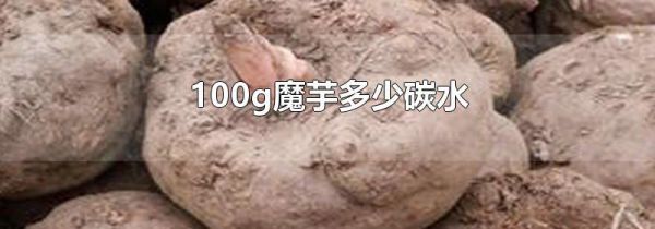 100g魔芋多少碳水
