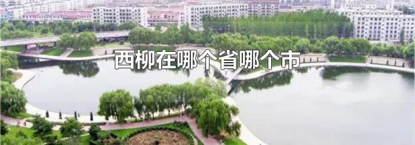西柳在哪个省哪个市