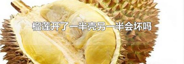 榴莲开了一半壳另一半会坏吗