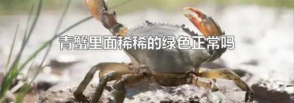 青蟹里面稀稀的绿色正常吗