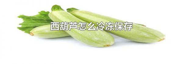 西葫芦怎么冷冻保存