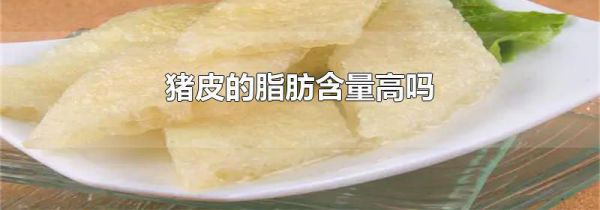 猪皮的脂肪含量高吗