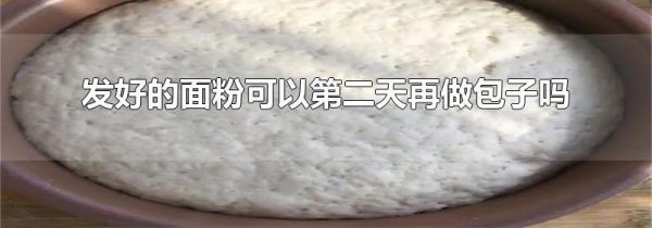 发好的面粉可以第二天再做包子吗