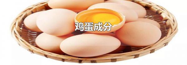 鸡蛋成分