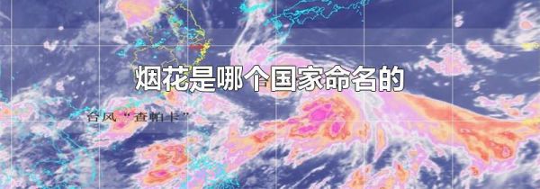 烟花是哪个国家命名的