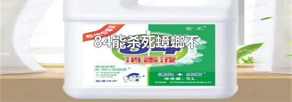 84能杀死蟑螂不