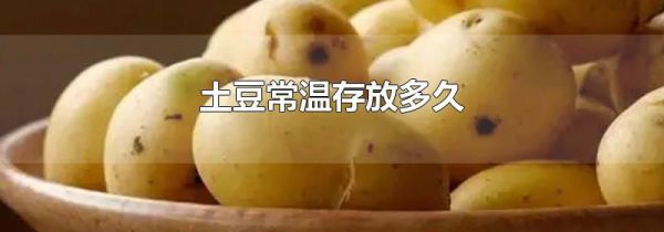 土豆常温存放多久