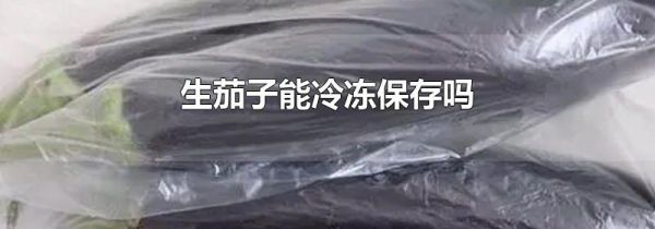 生茄子能冷冻保存吗