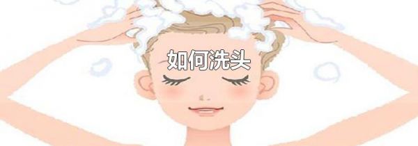 如何洗头