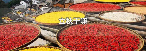 立秋干嘛