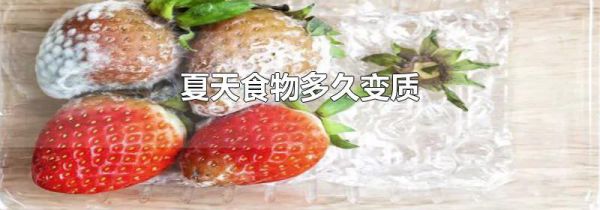 夏天食物多久变质