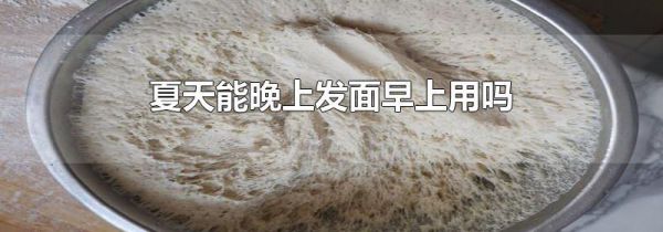 夏天能晚上发面早上用吗