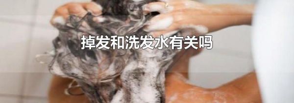 掉发和洗发水有关吗