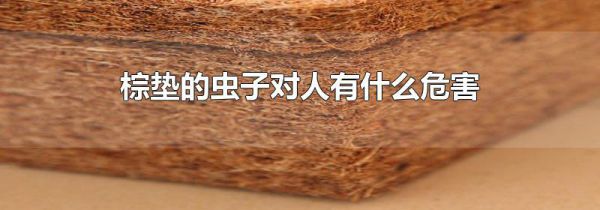 棕垫的虫子对人有什么危害