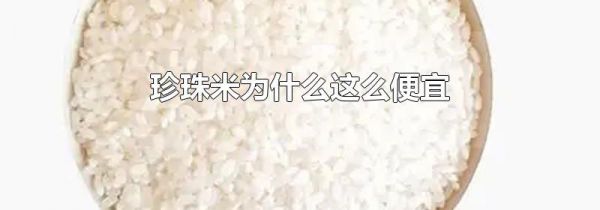 珍珠米为什么这么便宜