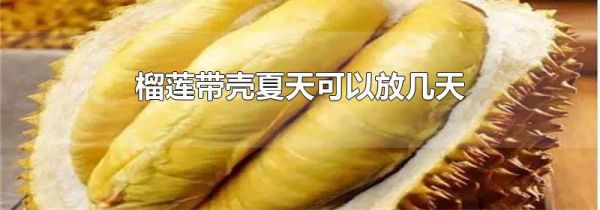 榴莲带壳夏天可以放几天