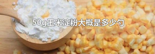 50g玉米淀粉大概是多少勺