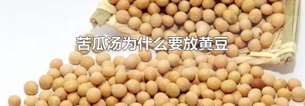 苦瓜汤为什么要放黄豆