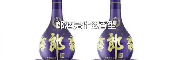 郎酒是什么香型