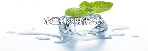 家里制冰用什么水