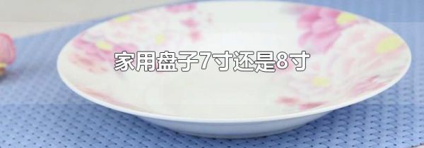 家用盘子7寸还是8寸