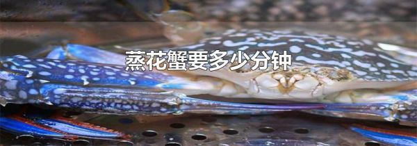 蒸花蟹要多少分钟