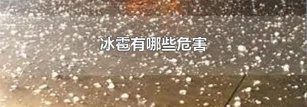 冰雹有哪些危害