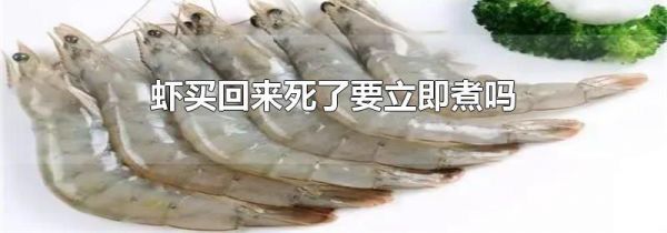 虾买回来死了要立即煮吗