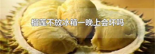 榴莲不放冰箱一晚上会坏吗