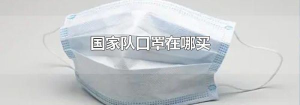 国家队口罩在哪买