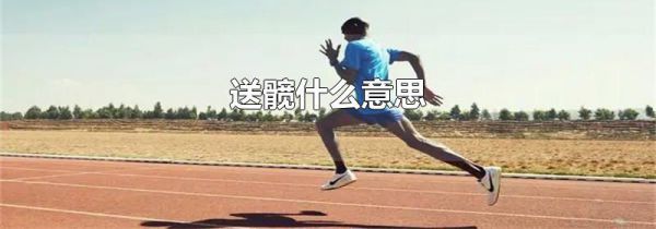 送髋什么意思