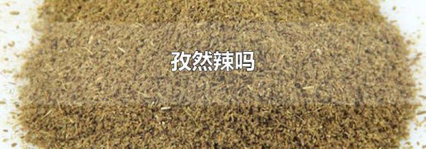 孜然辣吗