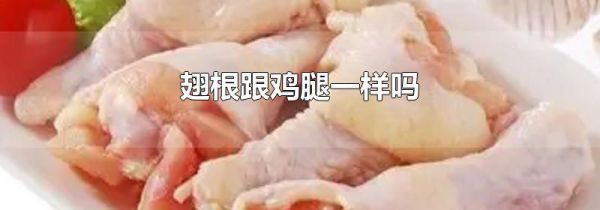 翅根跟鸡腿一样吗