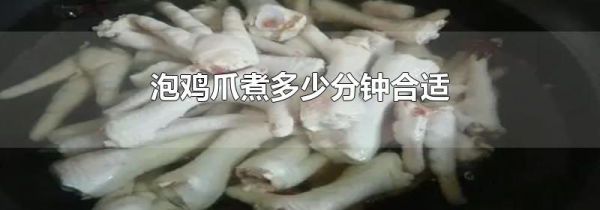 泡鸡爪煮多少分钟合适