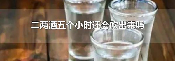 二两酒五个小时还会吹出来吗