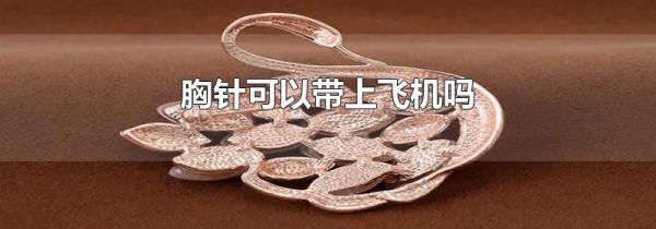 胸针可以带上飞机吗